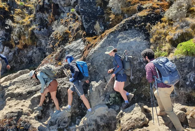 5 Days Trekking Mount Kilimanjaro Umbwe Route