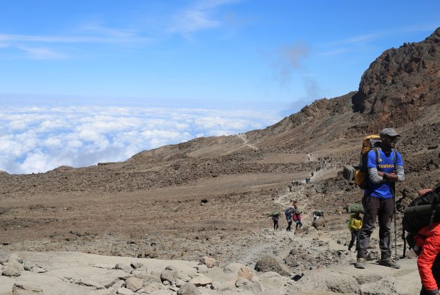 8 Days Trekking Tour Kilimanjaro Lemosho route